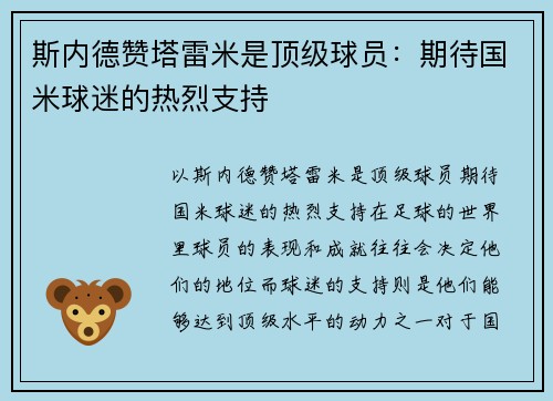 斯内德赞塔雷米是顶级球员：期待国米球迷的热烈支持